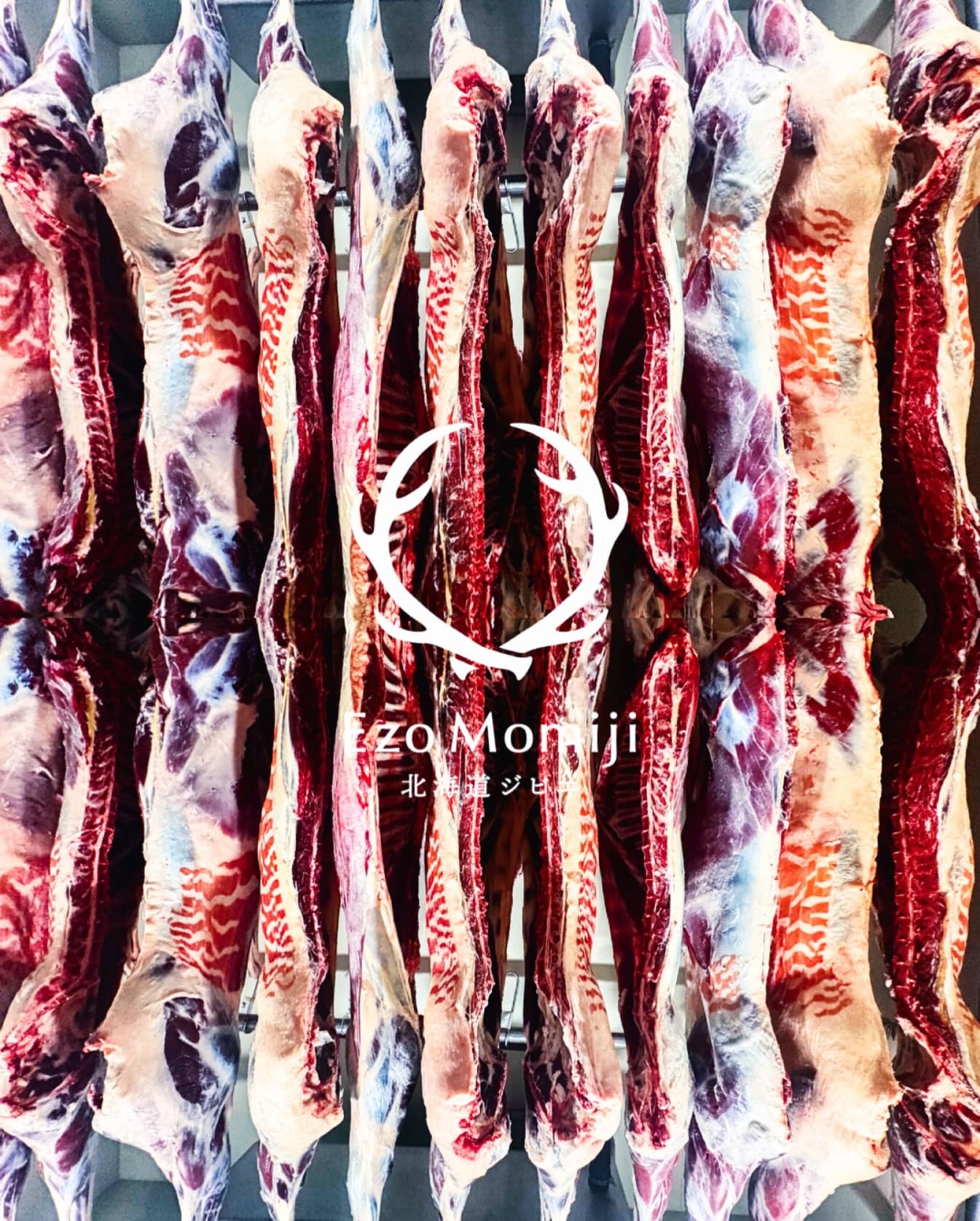 枝肉が整然と並ぶ Ezo Momiji の熟成庫